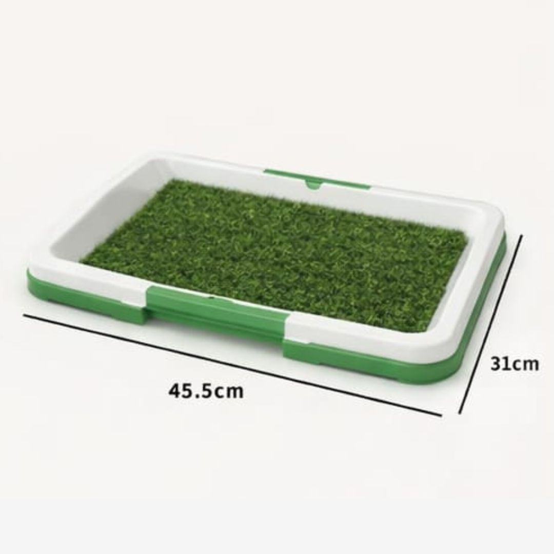 BAÑO INTERIOR PARA PERROS