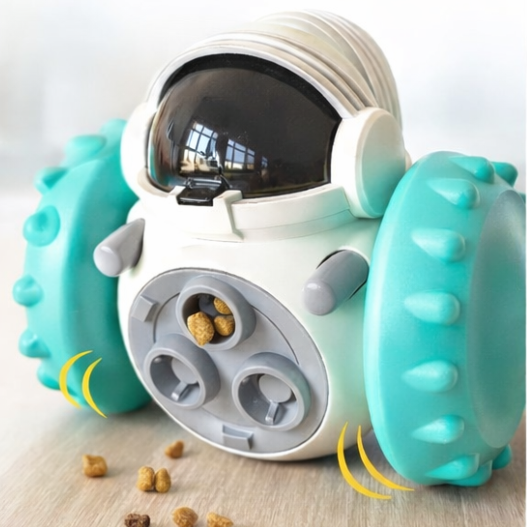 ROBOT SNACK INTERACTIVO PARA PERROS