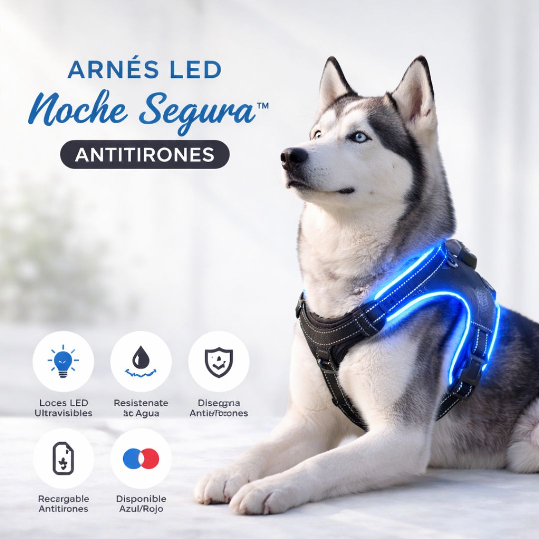 ARNES LED NOCHE SEGURA ANTITIRONES