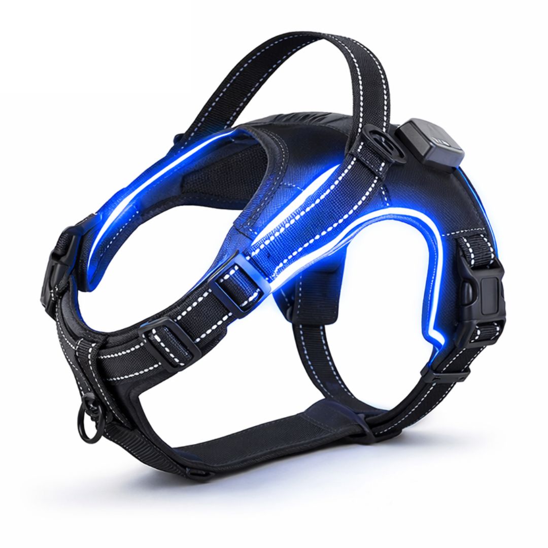 ARNES LED NOCHE SEGURA ANTITIRONES