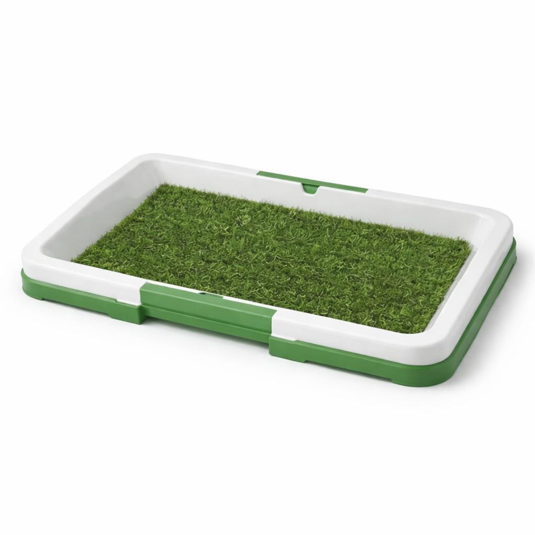 BAÑO INTERIOR PARA PERROS