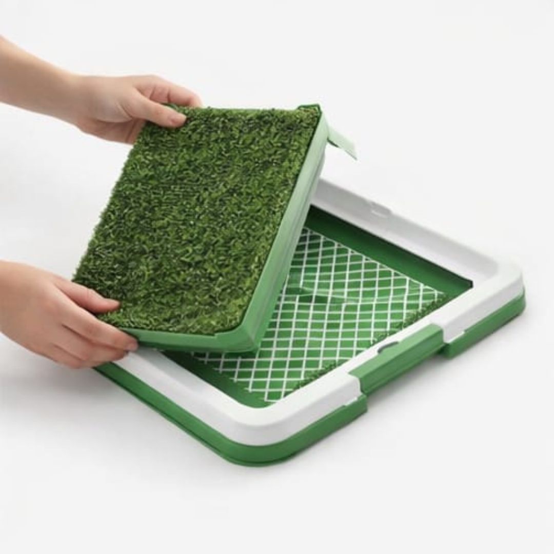 BAÑO INTERIOR PARA PERROS