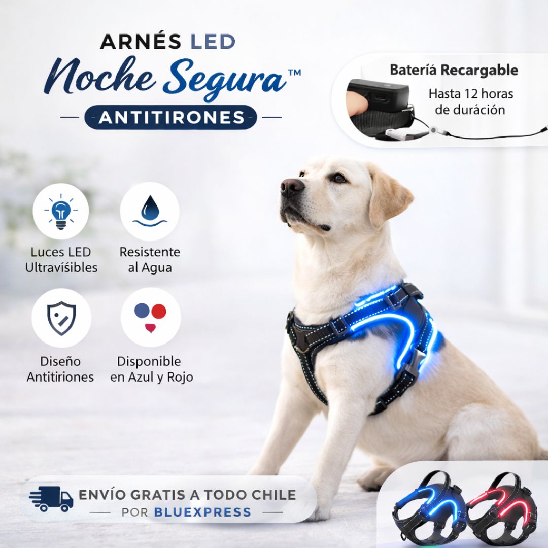 ARNES LED NOCHE SEGURA ANTITIRONES