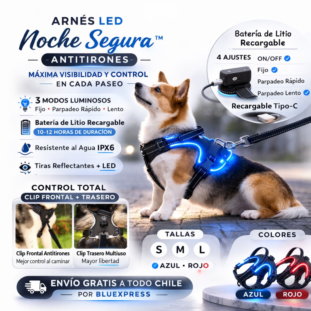 ARNES LED NOCHE SEGURA ANTITIRONES