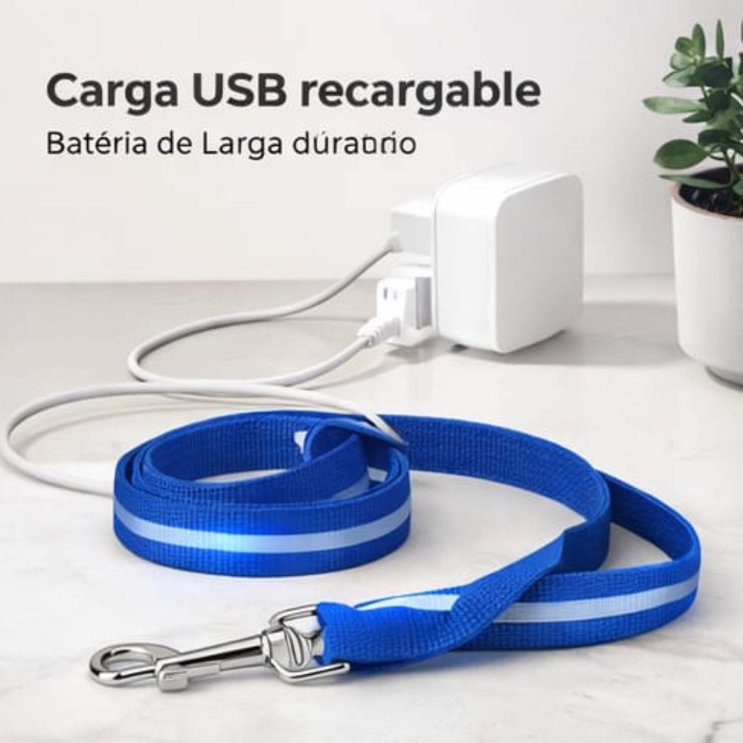 CORREA LED NOCHE SEGURA